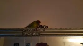 20181202_154951.webp