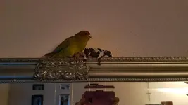 20181202_154958.webp