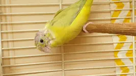 20200416_103517.webp