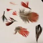 20181219_233914.webp