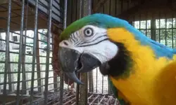 20160718_184656.webp