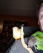 20181224_022013 (2).webp