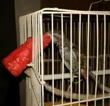 20170821_133558.webp