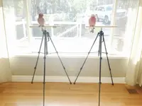 FullSizeRender.webp