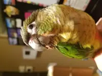 20200531_222242.webp