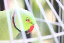 IMG_0907.webp IMG_0907.webp