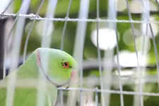 IMG_0910.webp IMG_0910.webp