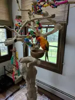 IMG_20170828_135328.webp