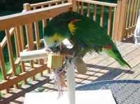 DSCN0769.webp