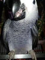 20170830_193949.webp
