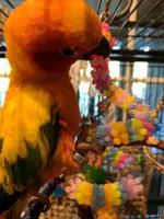 IMG_20170909_181029.webp
