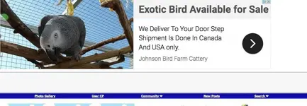 Screen Shot 2020-06-17 at 2.07.29 PM.webp