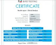 Capturecl.webp