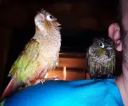 20181226_055556 (2).webp