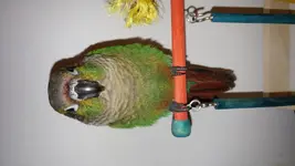 20170910_161717.webp