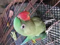 20170729_155344.webp