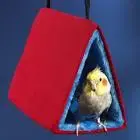 bird hut.webp
