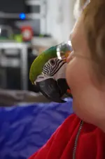 Sunny peek-a-boo.webp