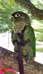 10447059_10152218781986728_2025919688464135123_n.webp 10447059_10152218781986728_2025919688464135123_n.webp