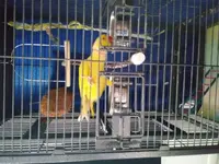 20190202_151615.webp 20190202_151615.webp