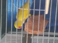 20190202_151957.webp 20190202_151957.webp