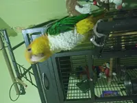 20190214_234141.webp