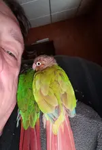 20190223_092116 (2).webp