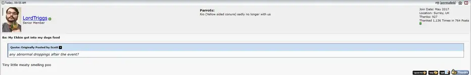 Capture.webp