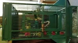 20171019_092441.webp