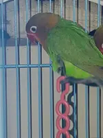 20171023_015233.webp