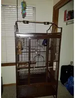 cage.webp