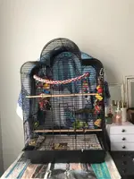 WhatsApp Image 2019-03-23 at 12.40.50.webp WhatsApp Image 2019-03-23 at 12.40.50.webp