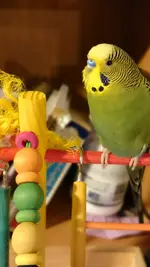 20150106_185936.webp 20150106_185936.webp