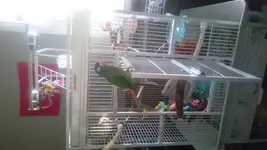 DSC_2535.webp DSC_2535.webp