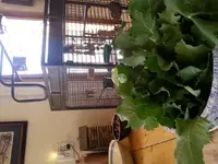 20190326_124849.webp