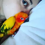 IMG_20170805_002644_238 (1).webp