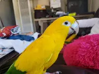 20191019_153941.webp