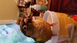 20171114_160134.webp