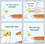 FB_IMG_1555434210072.webp