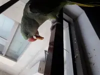 20190414_123313.webp