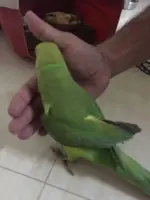 WhatsApp Image 2017-11-18 at 9.58.50 PM.webp