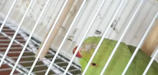 20190429_150130.webp