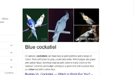Capture.webp