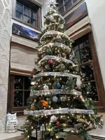 IMG_20171126_173202.webp