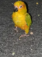 20200924_190919.webp