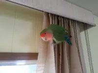 20171210_114036.webp