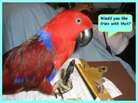 Ellie the waitress_0624.webp