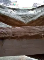 15136183371221580139901.webp