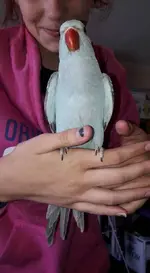 25550384_10214218708529328_869533031991608869_n.webp 25550384_10214218708529328_869533031991608869_n.webp