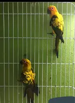 20190531_133341.webp